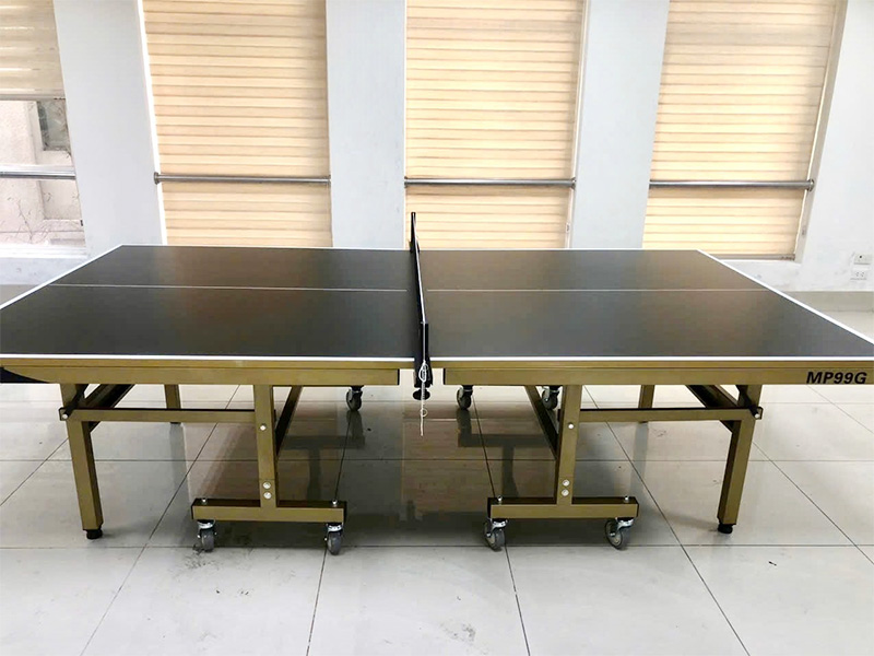 Bàn bóng bàn Mofit Sport MP99