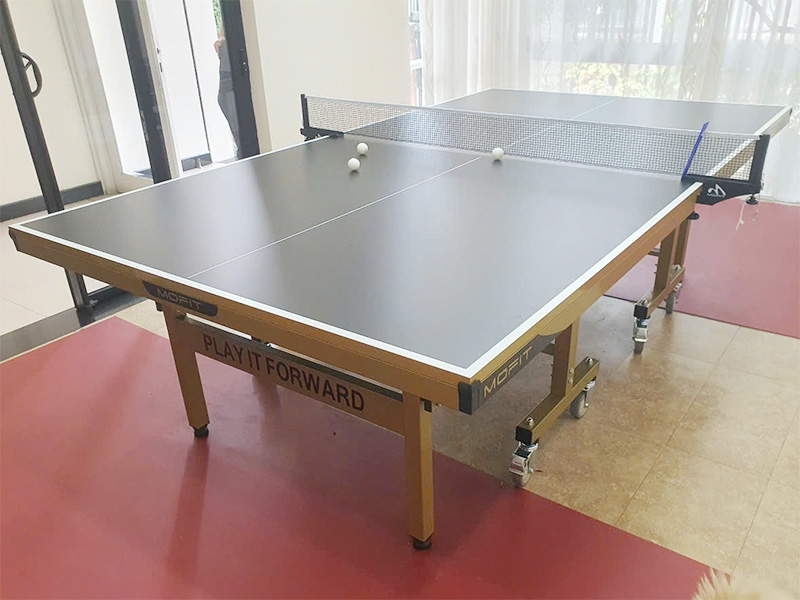 Bàn bóng bàn Mofit Sport MP99