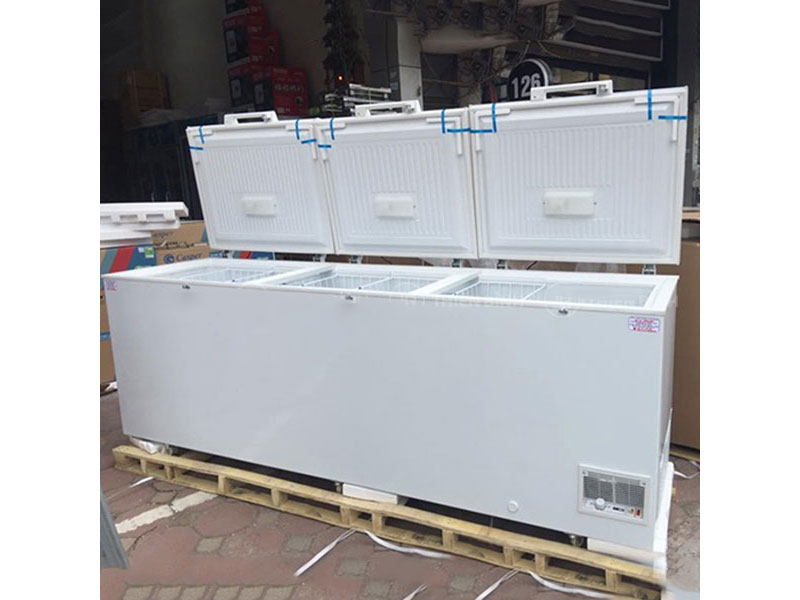 Tủ đông Sanden Inverter SNQ-0805i - 818 lít