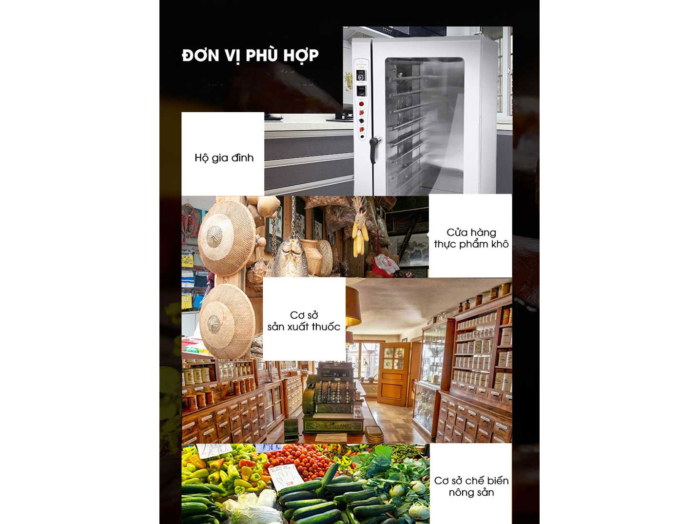 Tủ sấy thực phẩm công nghiệp NewSun NS-YX-50