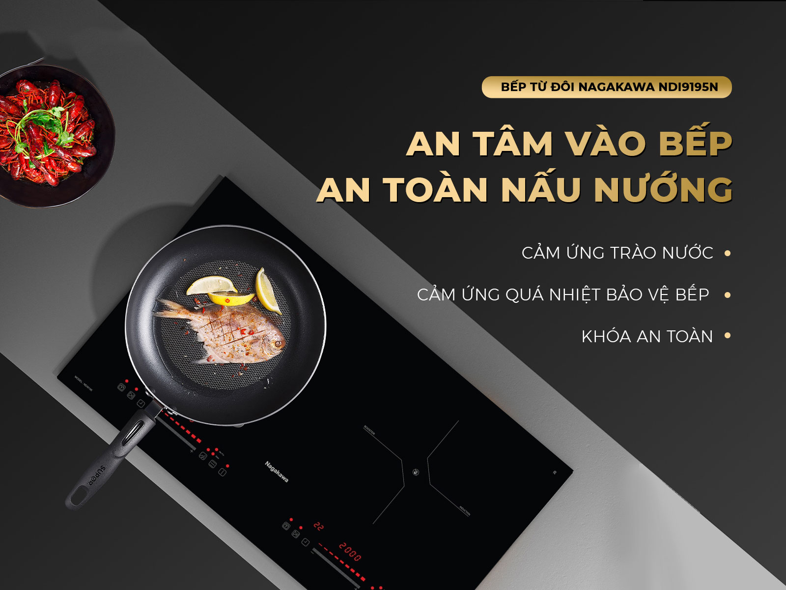 Bếp điện từ đôi Nagakawa NDI9195