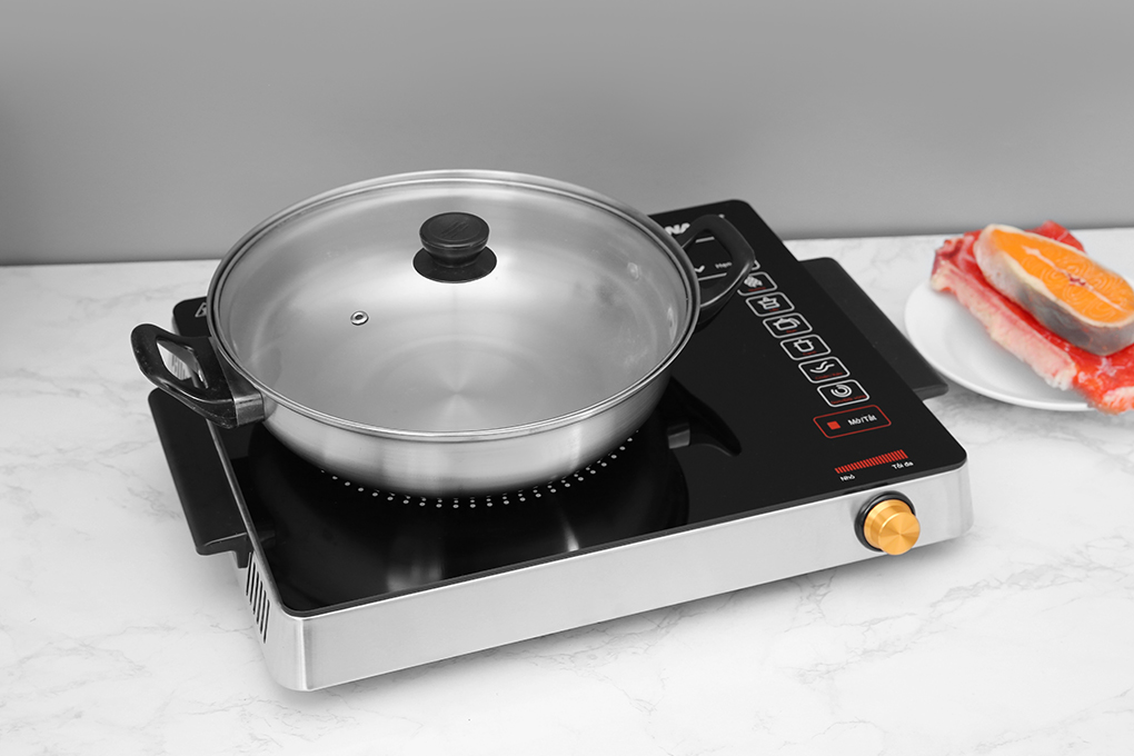 Bếp hồng ngoại Sanaky SNK 2525HGN