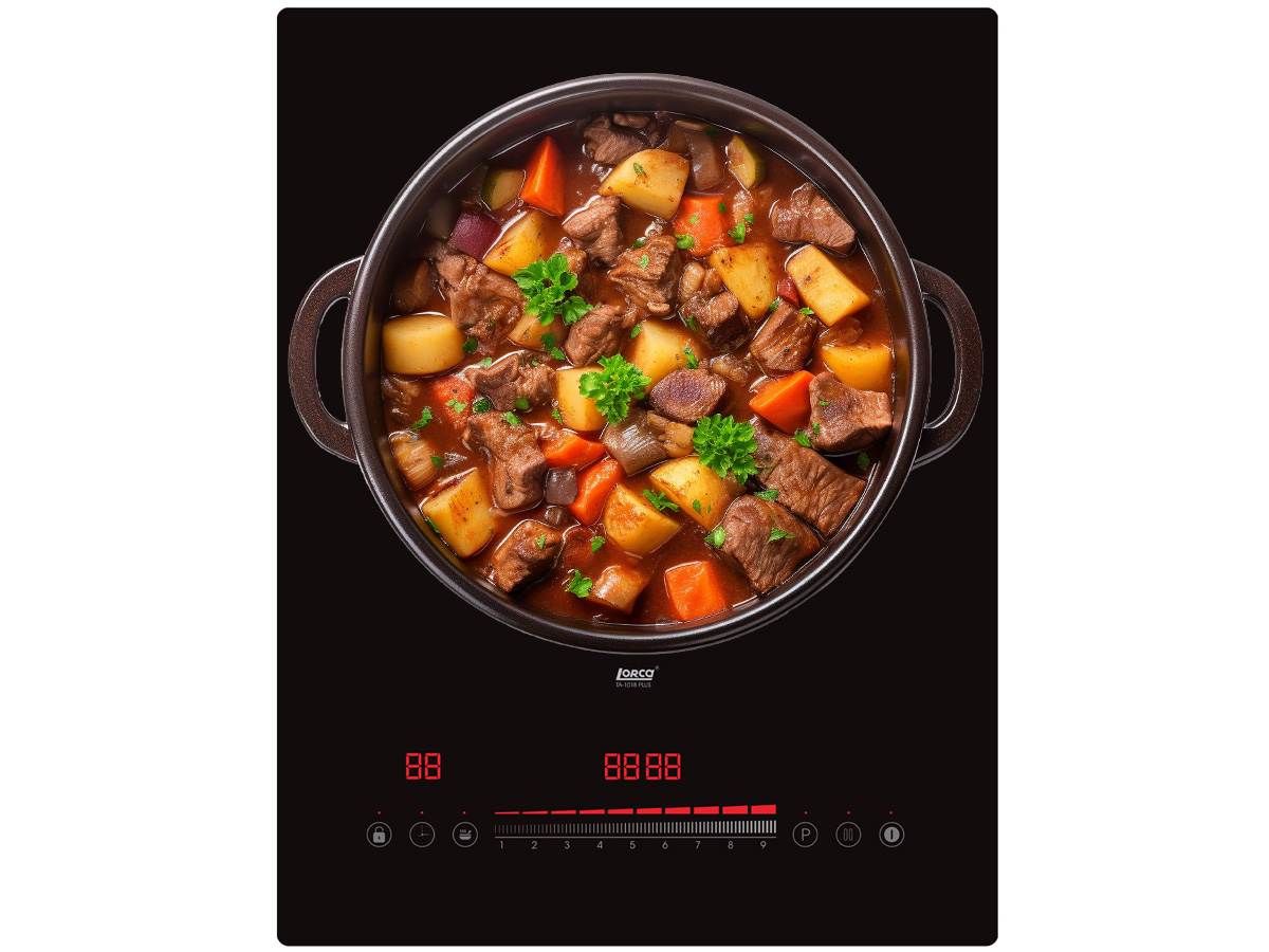 Bếp từ Lorca TA-1018 Plus