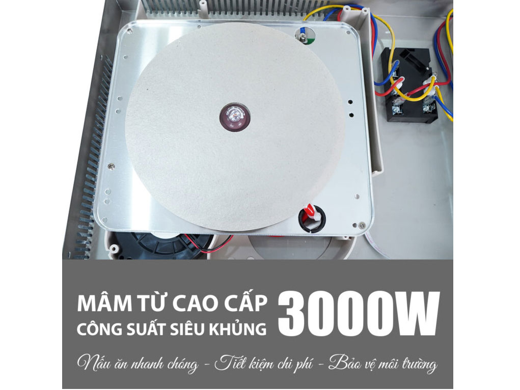 Bếp từ đôi Lorca LCI-806 Plus