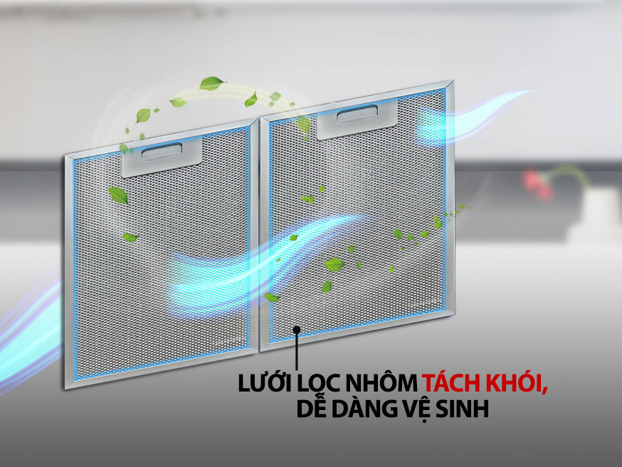 Máy hút mùi Lorca TA-6008P (70cm)