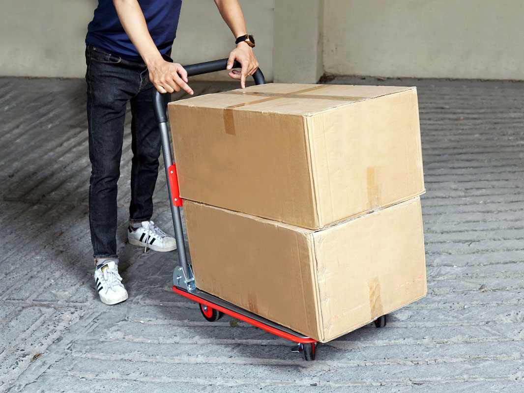 Xe đẩy hàng sàn thép 4 bánh FujiHome SH150N