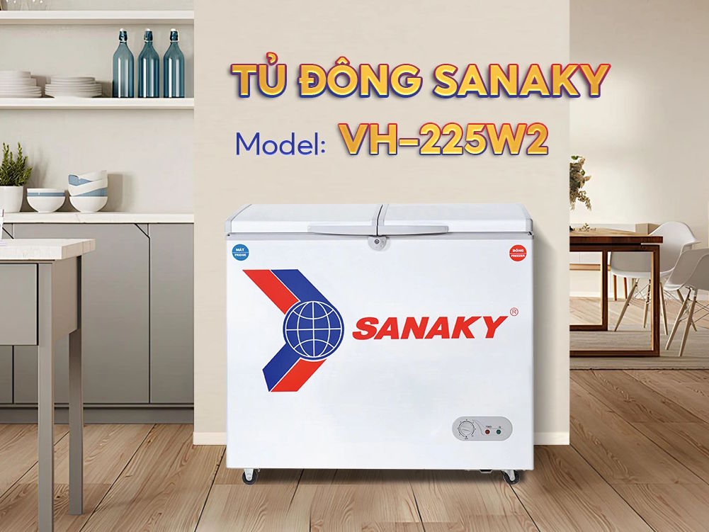 Tủ đông Sanaky 165 lít VH-225W2