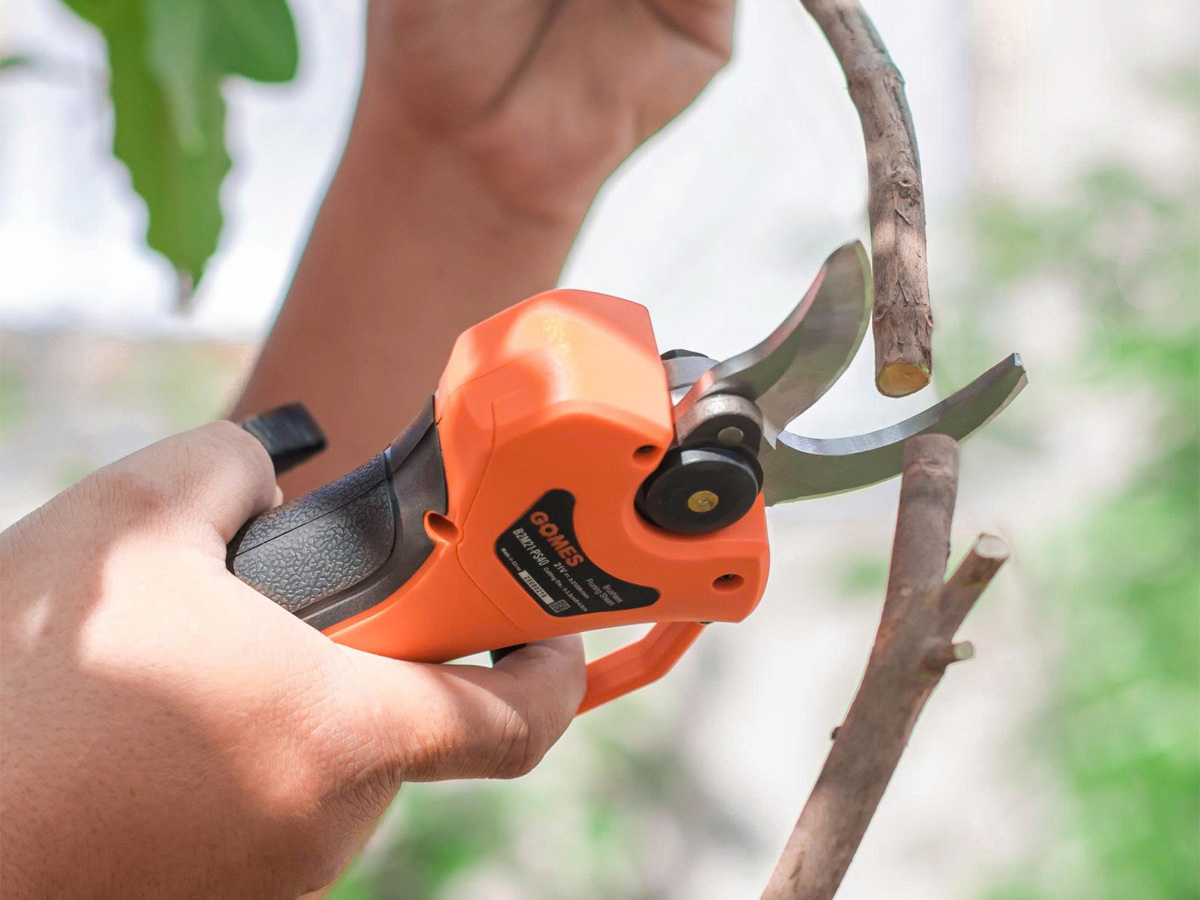 Máy cắt cành chạy pin Gomes B2M21-PS40