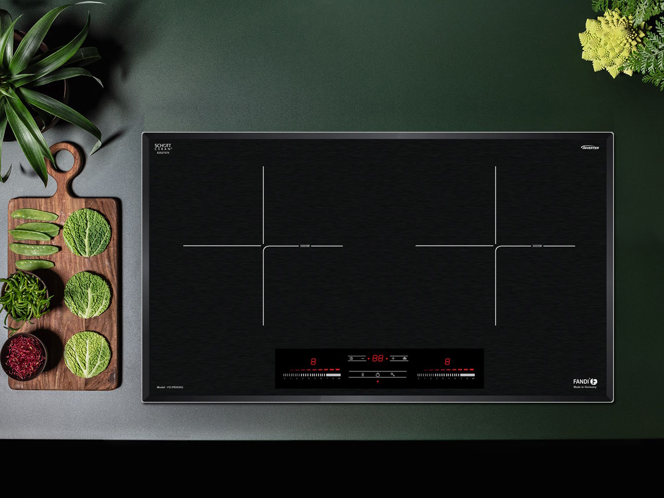 Bếp từ Fandi FD-829IB