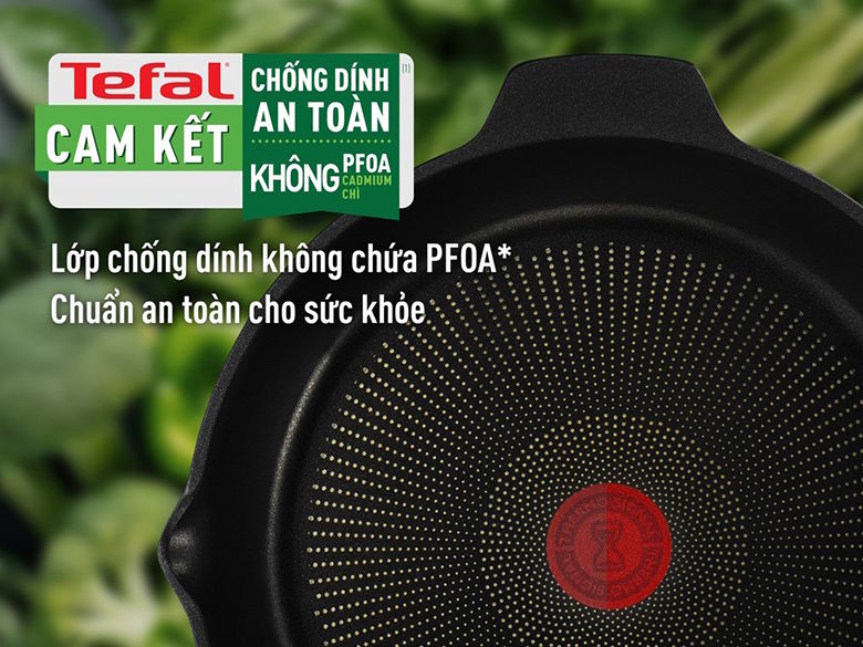 Chảo đúc cao cấp Tefal Robusto có miệng rót 24cm E2490444