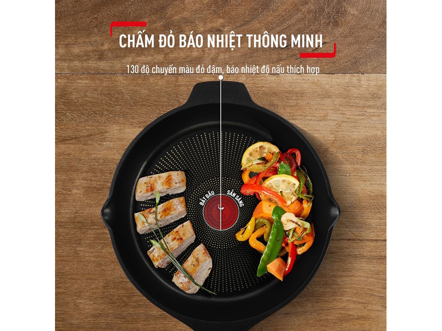 Chảo đúc cao cấp Tefal Robusto có miệng rót 24cm E2490444