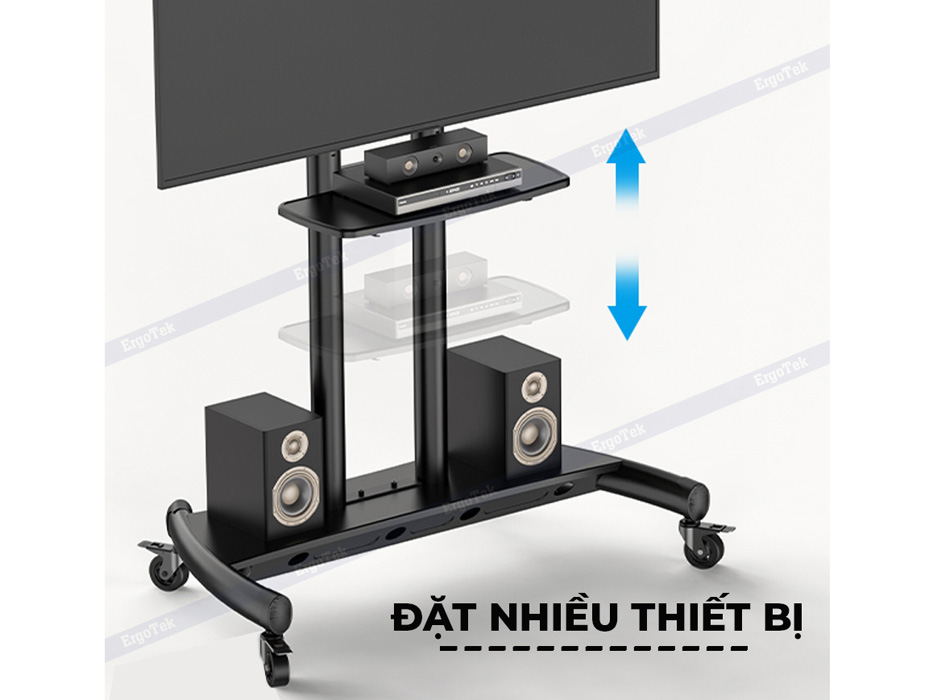 Giá treo tivi di động Ergotek E2600 (55-100 inch)