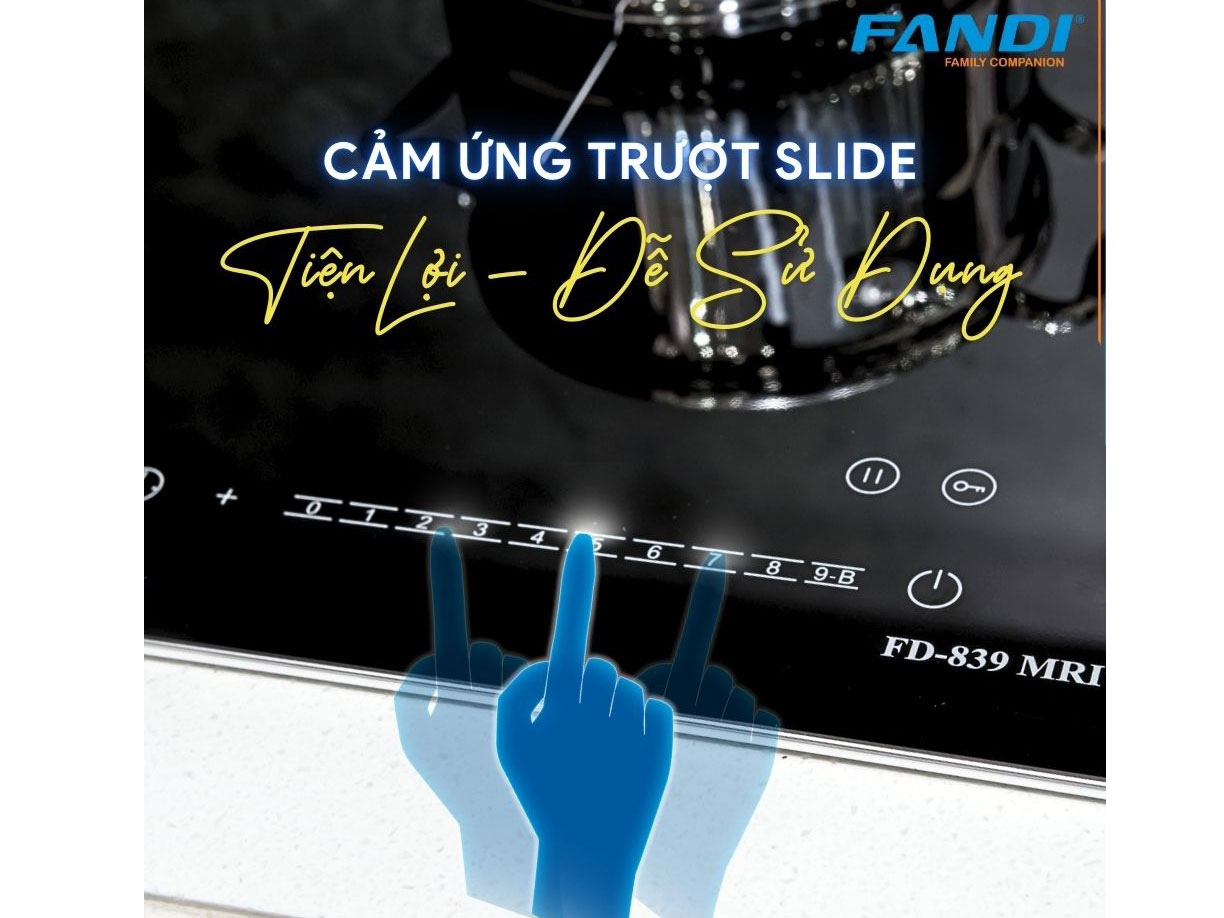 Bếp từ Fandi FD-839MRI