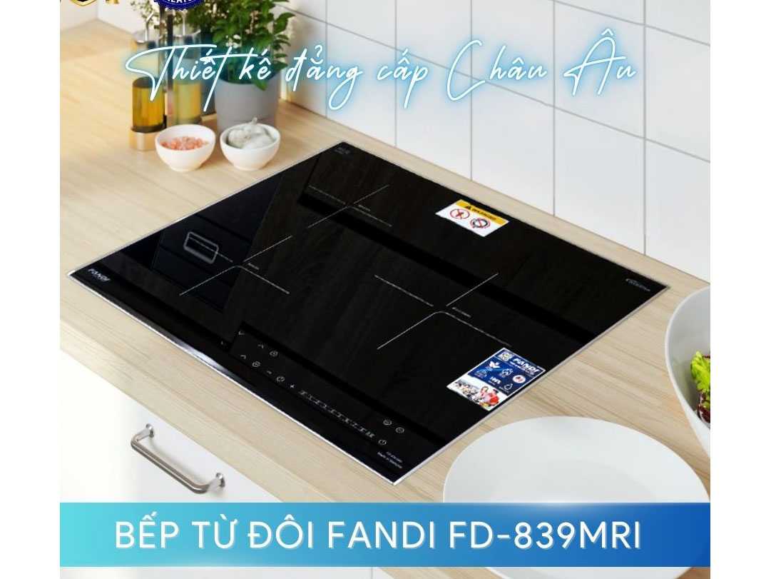 Bếp từ Fandi FD-839MRI