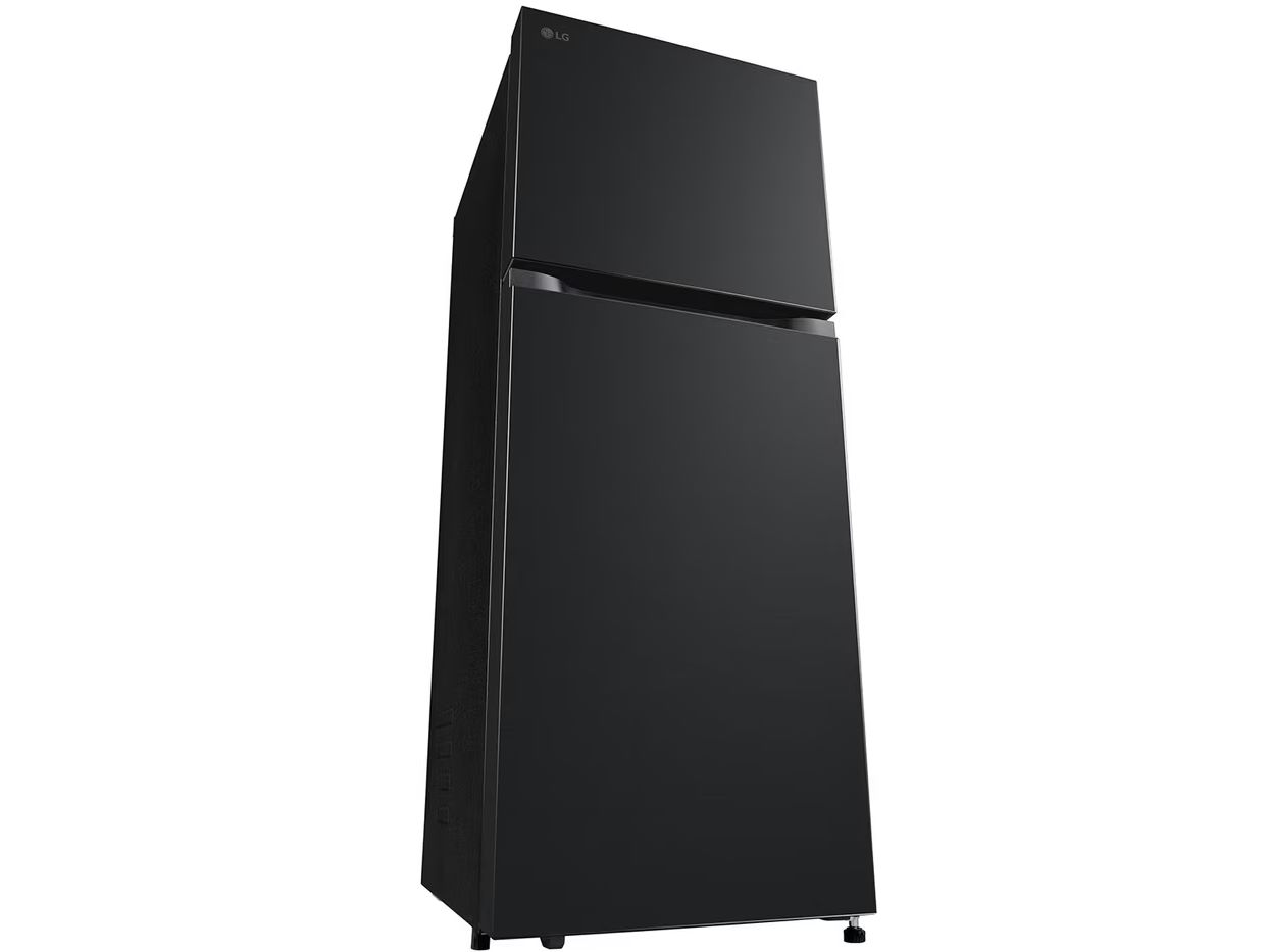 Tủ lạnh LG Inverter 217 lít LTB21BLMI