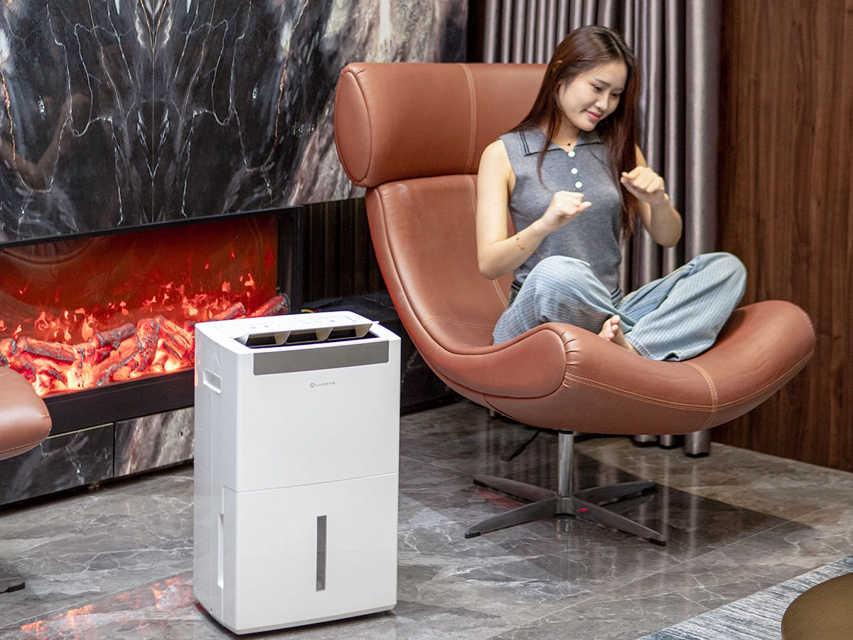 Máy hút ẩm lọc không khí Lumias D6S-30L (30 lít/ngày, 125m2)