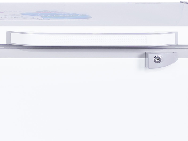 Tủ đông Sanaky VH-5699W1