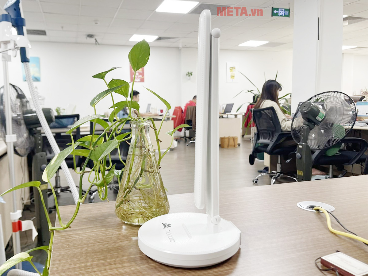 Đèn học chống cận Mocato Light M204