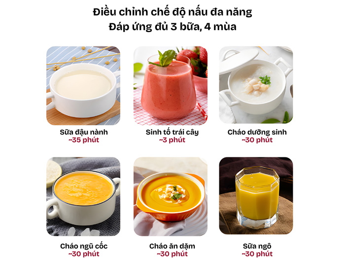 Máy làm sữa hạt đa năng Fujihome SM1636