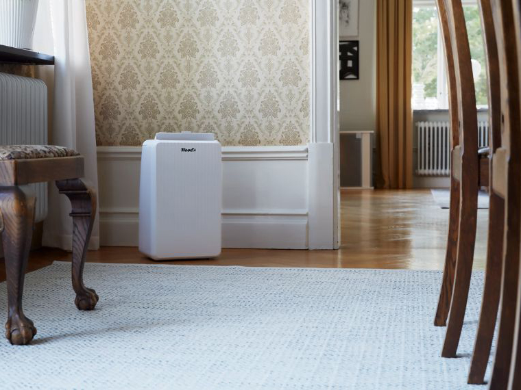 Máy hút ẩm Woods MRD14