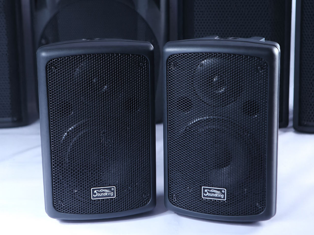 Loa hộp SoundKing Control 282