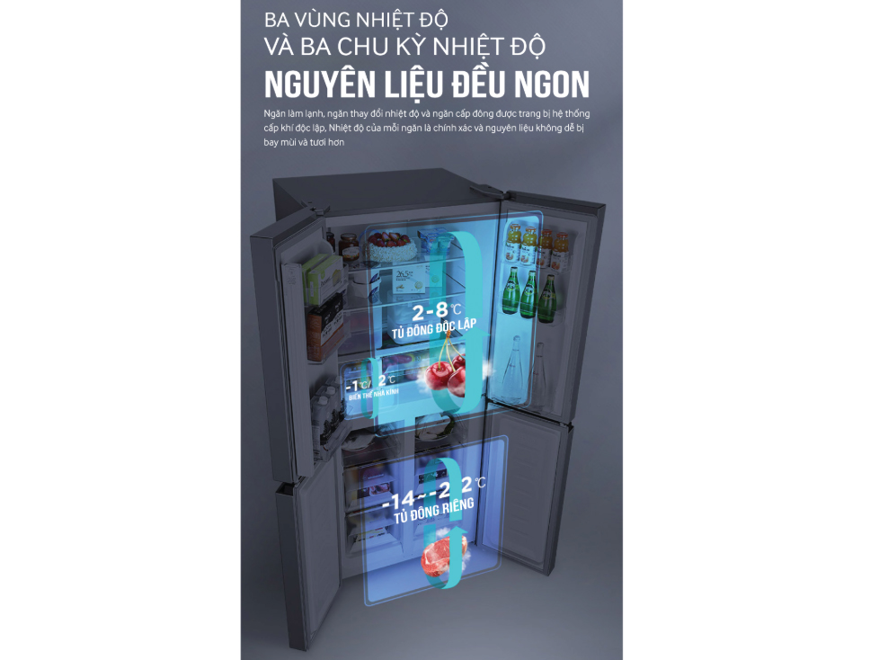 Tủ lạnh Coex có 3 vùng nhiệt độ Tủ lạnh Coex