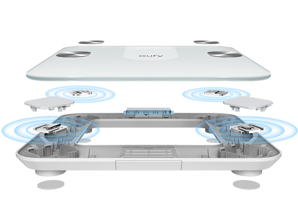 Cân thông minh Eufy Smart Scale A1 (trắng)