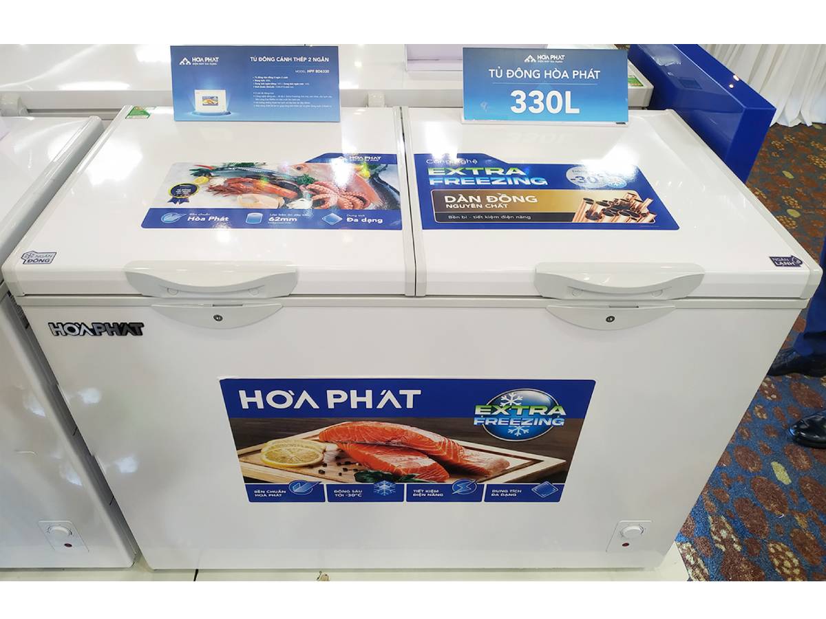 Tủ đông Hòa Phát HPF BD6330 - 330 lít