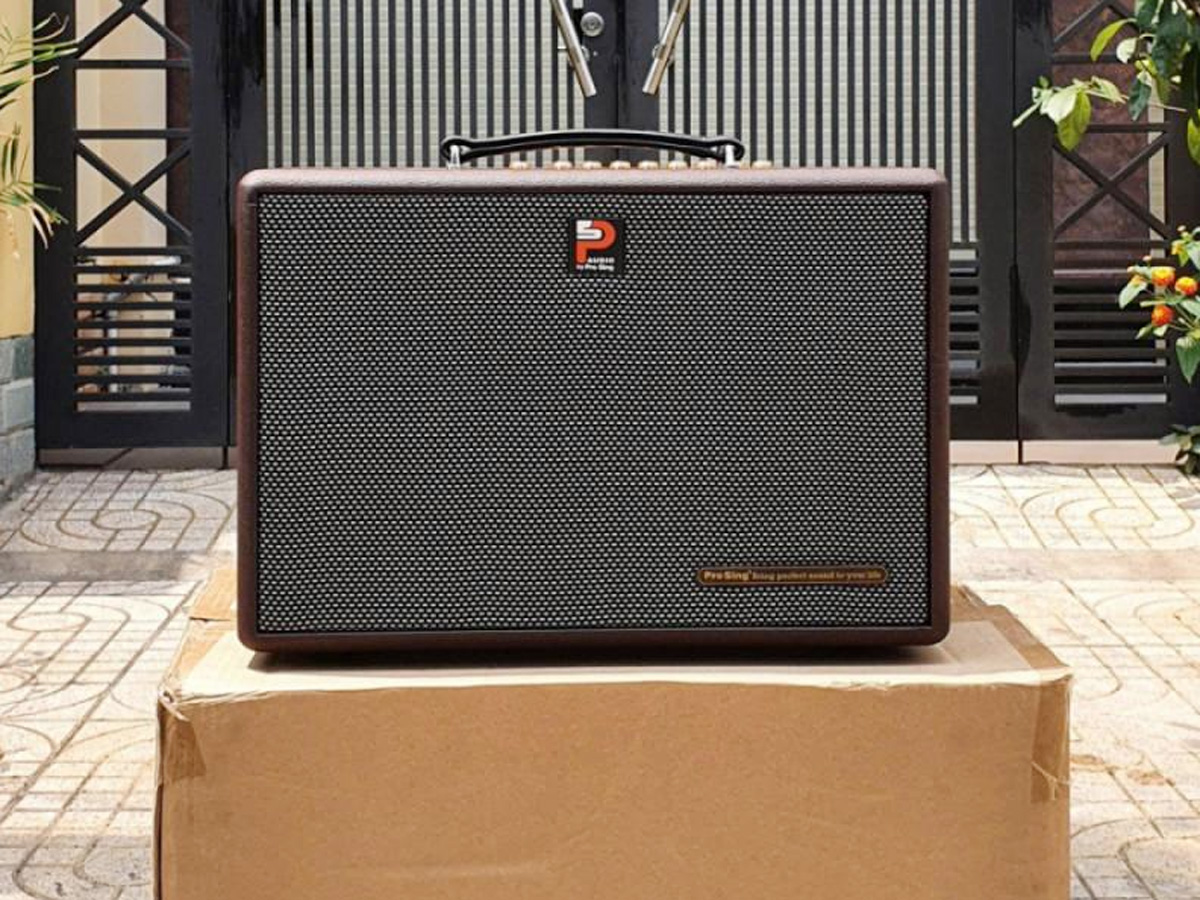 Loa di động Karaoke xách tay Prosing W8 – KOR