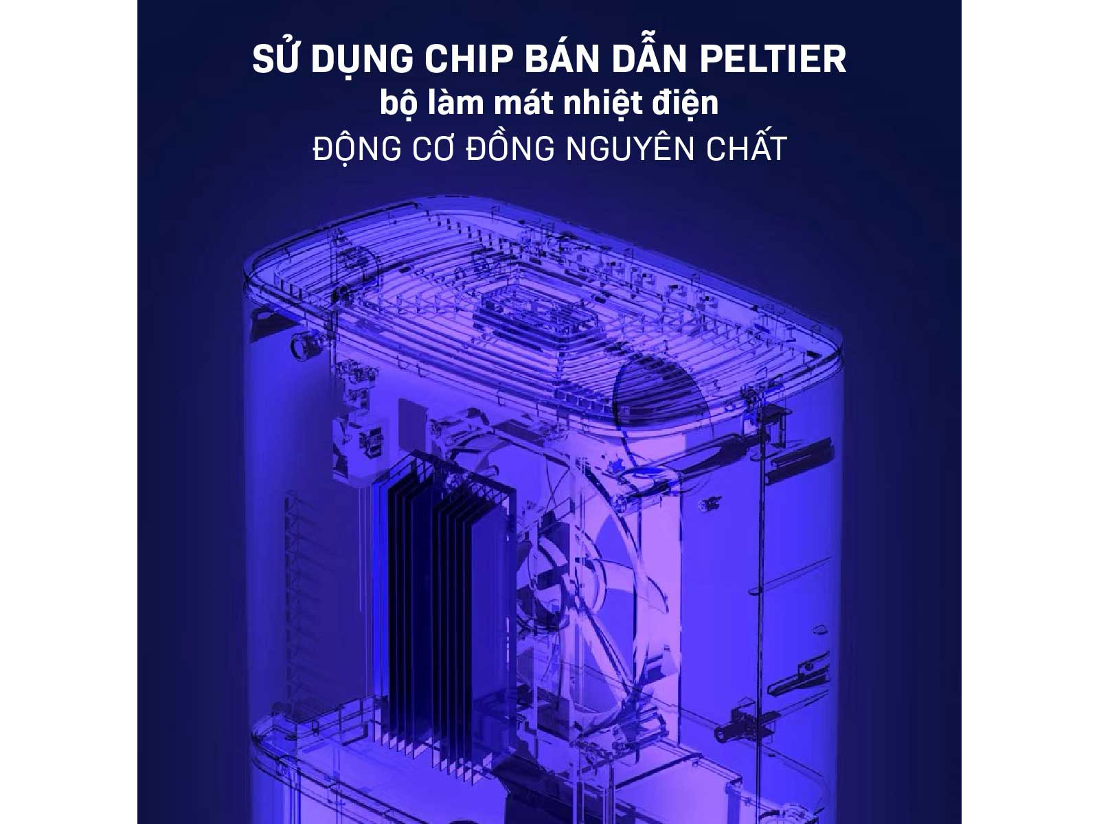 Máy hút ẩm bán dẫn tích hợp lọc không khí Fujihome DHP05-MINI