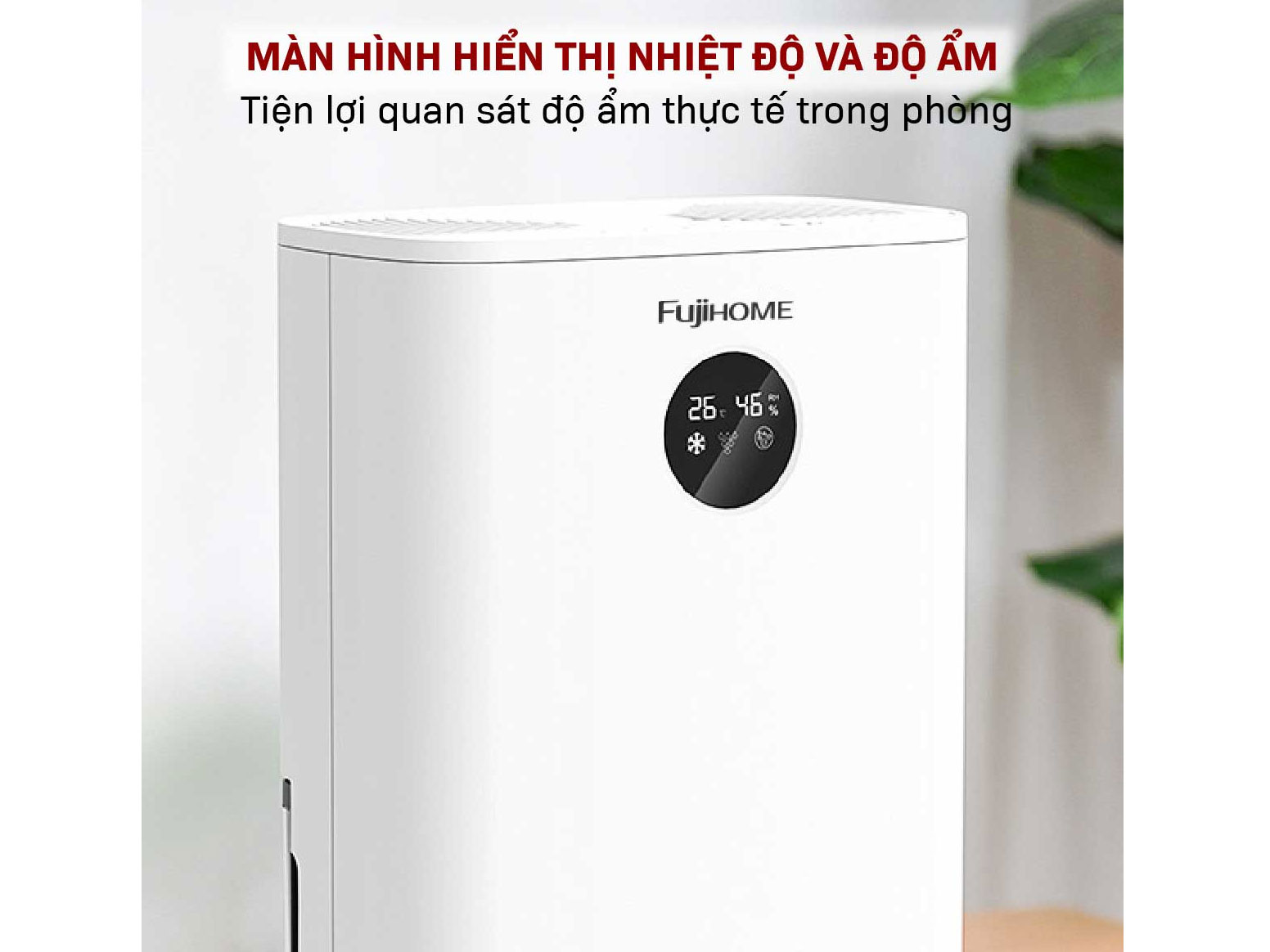 Máy hút ẩm bán dẫn tích hợp lọc không khí Fujihome DHP05-MINI