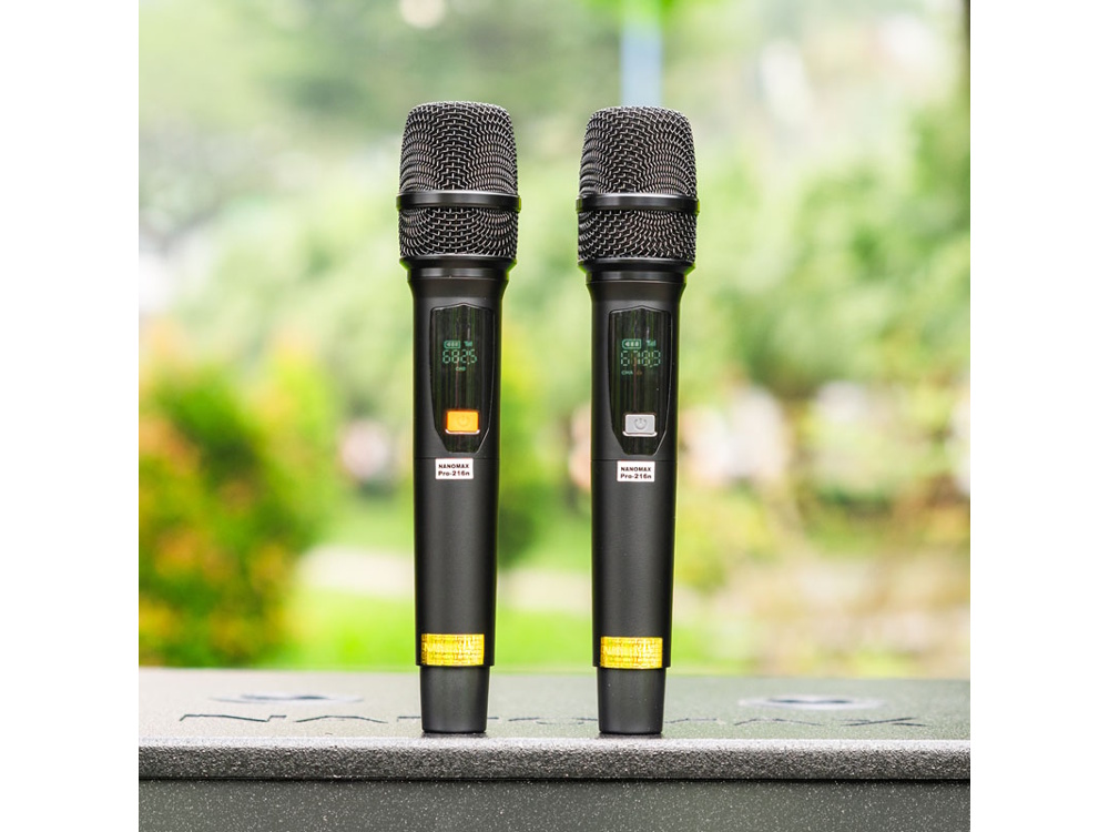 Loa kéo bình điện Nanomax Pro-216N (Bass đôi 40cm, 2.250W)
