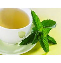 Tinh dầu Bạc Hà