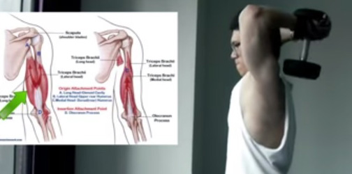 Tập thể hình tại nhà hiệu quả với tạ tay
