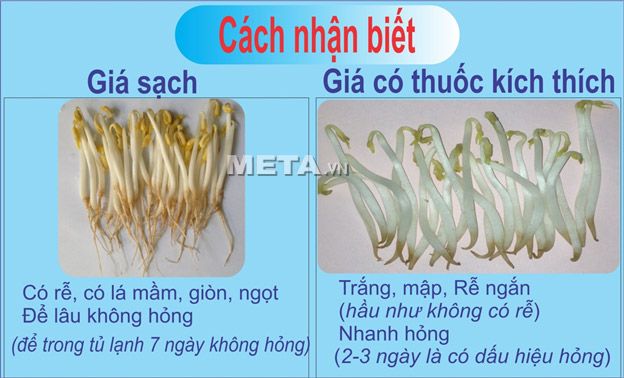 Máy làm giá đỗ sạch đa năng GV-102 giúp trồng giá sạch ngay tại nhà