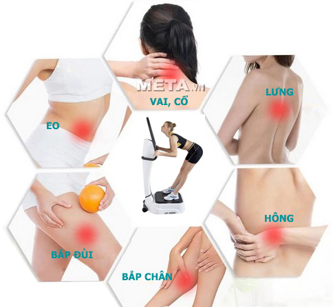 Các vị trí mà máy rung toàn thân LV-1000 tác động đến.