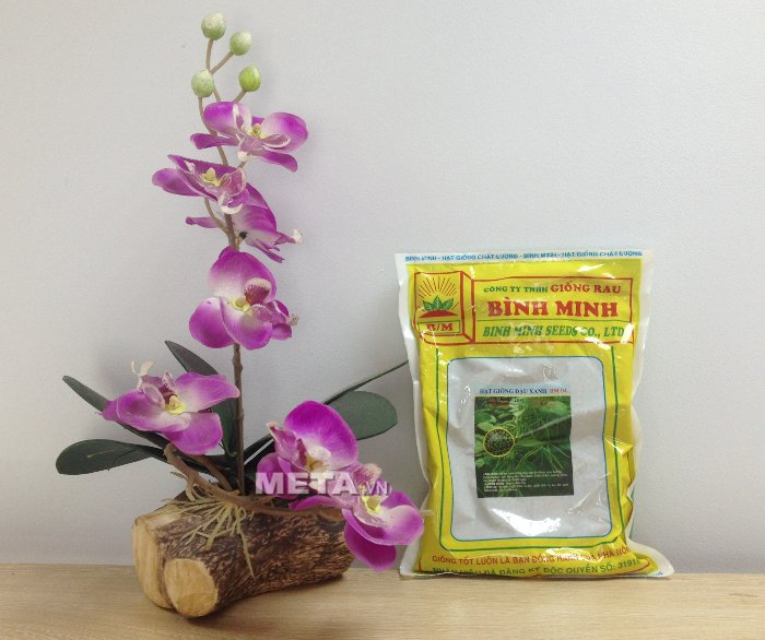 Hạt giống đỗ xanh 1kg cho giá lên rất mập