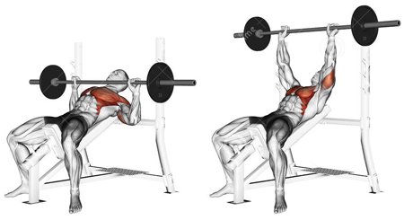 Tập đẩy tạ đòn đúng cách