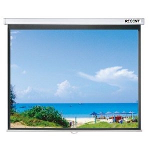 Màn chiếu treo tường Regent EA-60W 60” x 60” (1m52 x 1m52)