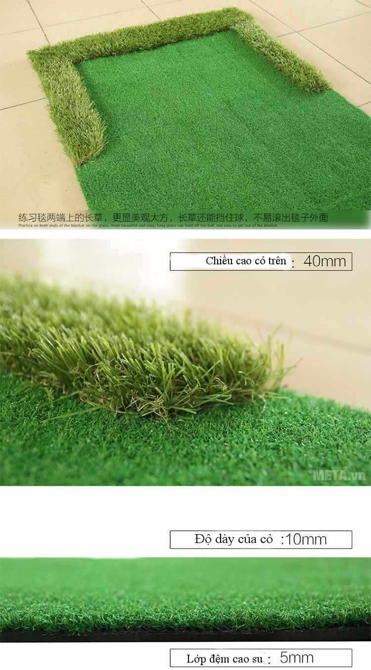 Thảm tập golf Putting GL008 (GOMIP25)