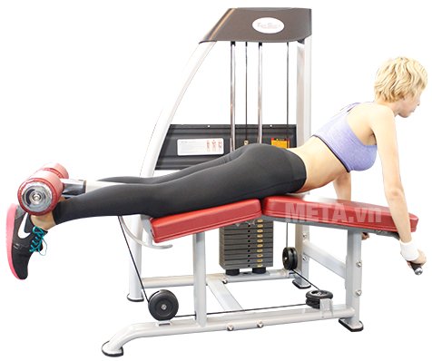 Máy móc đùi sau Tiger Sport TG-140 làm săn chắc cơ đùi, mang lại cho bạn một đôi chân thon gọn