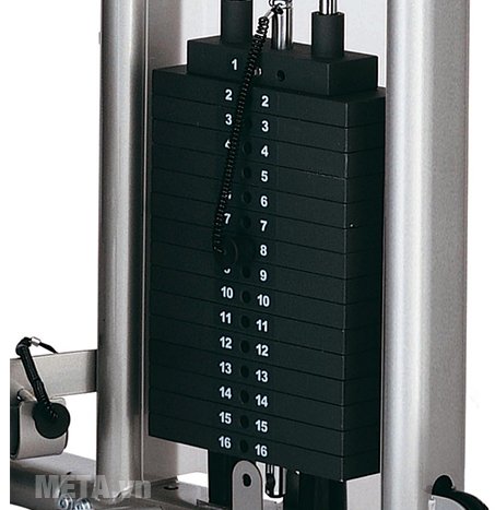 Máy móc đùi sau Tiger Sport TG-140 có hệ thống tạ đa cấp độ