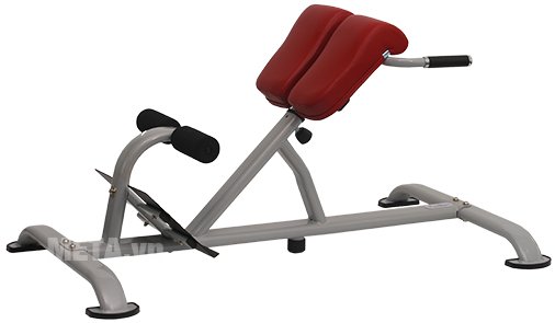 Ghế tập cơ lưng và hông Tiger Sport TG-200