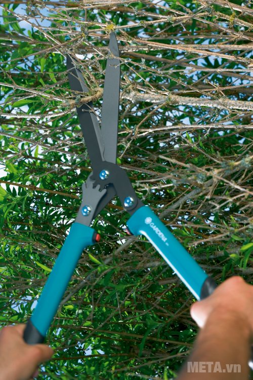 Kéo bánh răng tỉa rào Gardena 600 - 00393-20