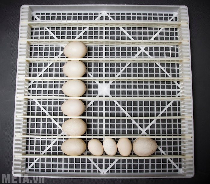 Kích thước khay đựng trứng 45 x 45 cm 