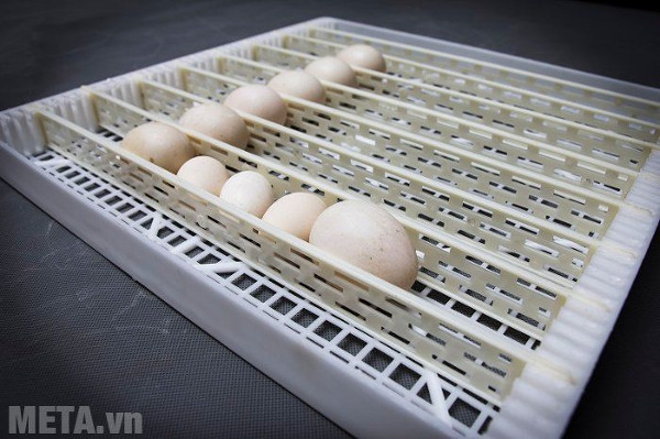 Mỗi khay trứng có kích thước 45cm x 45cm