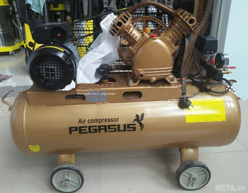 Máy nén khí Pegasus TM-V-0.17/8 (2HP) màu đồng