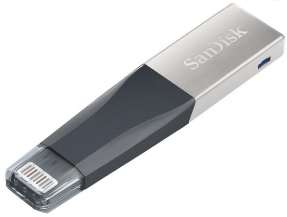 USB SanDisk iXpand mini IX40 32GB (SDIX40N-032G-GN6NN)