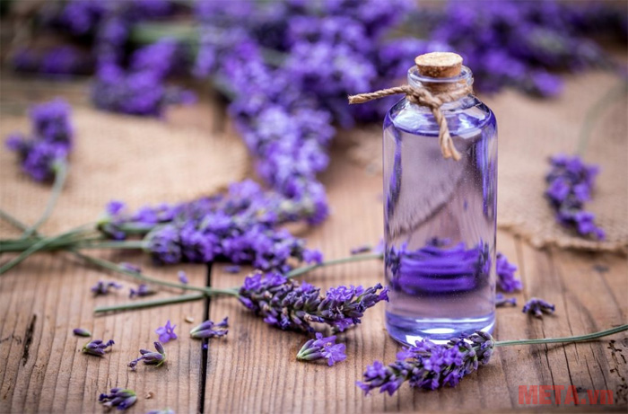 Tinh dầu oải hương - Lavender
