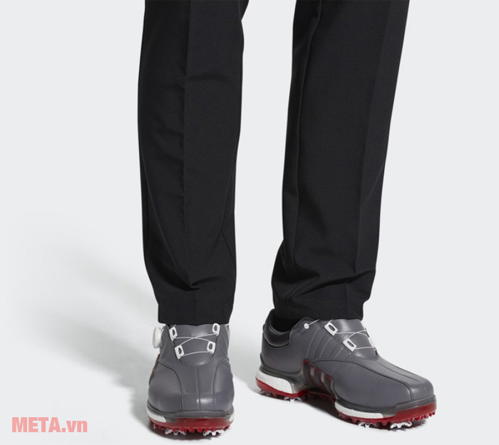 BOA F33731